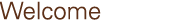 index icon